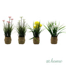 Xylona Cupid's Dart and Xaviell Dandelion Artificial Decorative Plant