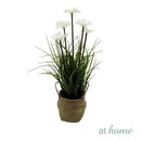 Xylona Cupid's Dart and Xaviell Dandelion Artificial Decorative Plant