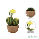 Hallie and Harper Hyacinth or Cactus Artificial Plant
