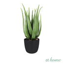 1pc Conrad Succulent Artificial Plant w/ Pot
