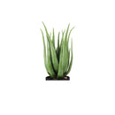 1pc Conrad Succulent Artificial Plant w/ Pot