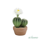 Hallie and Harper Hyacinth or Cactus Artificial Plant