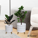 Gavin Ceramic Planter