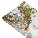 Jen Set of 2 Canvas Frame