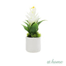Bromeliad 1pc Artificial Plant w/ Pot