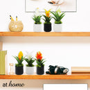 Bromeliad 1pc Artificial Plant w/ Pot