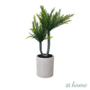 AT HOME Artificial Potted Plant 1pc Xavia/Xanthia – Nordic Home Office Decoration, For Tabletop Shel