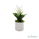 Bromeliad 1pc Artificial Plant w/ Pot