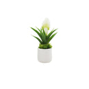 Bromeliad 1pc Artificial Plant w/ Pot