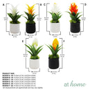 Bromeliad 1pc Artificial Plant w/ Pot