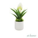 Bromeliad 1pc Artificial Plant w/ Pot