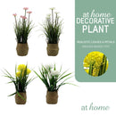 Xylona Cupid's Dart and Xaviell Dandelion Artificial Decorative Plant
