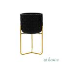 Deluxe Nica Cement Decorative Planter w/ Metal Stand