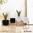 Deluxe Nica Cement Decorative Planter w/ Metal Stand