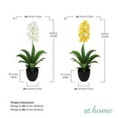 Curtis B Artificial Orchid Flower Potted Plant