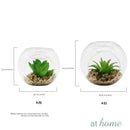 Yen Decorative Artificial Plant - Sunstreet
