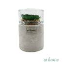 Yulo Decorative Artificial Plant - Sunstreet