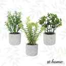 Caren Artificial Succulent Potted Plant