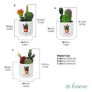 Cavalli Artificial Cactus Potted Plant