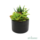 1 pc Lyza & Lizel Artificial Potted Plant