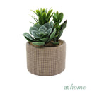 1 pc Lyza & Lizel Artificial Potted Plant