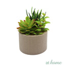 1 pc Lyza & Lizel Artificial Potted Plant