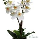 1pc Hanifa Artificial Potted Plant