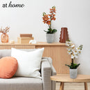 1pc Hanifa Artificial Potted Plant