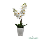 1pc Hanifa Artificial Potted Plant