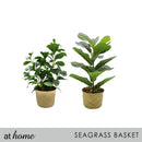 1pc Haya Artificial Potted Plant