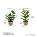 1pc Haya Artificial Potted Plant