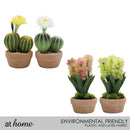 Hallie and Harper Hyacinth or Cactus Artificial Plant