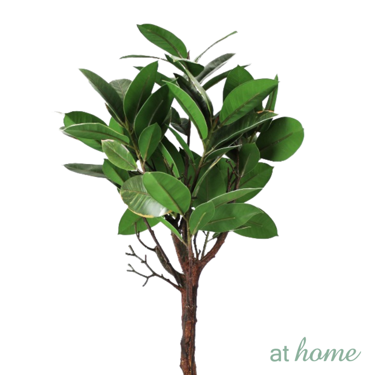 Chad or Cordelia Artificial Rubber Tree Potted Plant