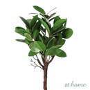 Chad or Cordelia Artificial Rubber Tree Potted Plant