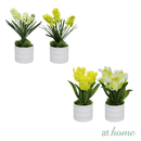Halsey & Heath Decorative Artificial Plant — Deluxe Pieces