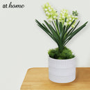 Halsey & Heath Decorative Artificial Plant — Deluxe Pieces