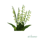 Harry & Hassan Decorative Flower Plant — Deluxe Pieces