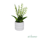 Harry & Hassan Decorative Flower Plant — Deluxe Pieces