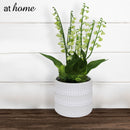 Harry & Hassan Decorative Flower Plant — Deluxe Pieces