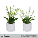 Harry & Hassan Decorative Flower Plant — Deluxe Pieces