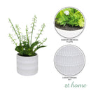Harry & Hassan Decorative Flower Plant — Deluxe Pieces