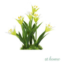 Harry & Hassan Decorative Flower Plant — Deluxe Pieces