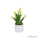 Harry & Hassan Decorative Flower Plant — Deluxe Pieces