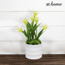 Harry & Hassan Decorative Flower Plant — Deluxe Pieces