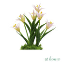 Harry & Hassan Decorative Flower Plant — Deluxe Pieces