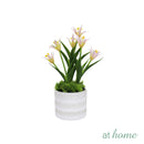 Harry & Hassan Decorative Flower Plant — Deluxe Pieces