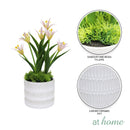 Harry & Hassan Decorative Flower Plant — Deluxe Pieces