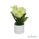 Halsey & Heath Decorative Artificial Plant — Deluxe Pieces