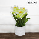 Halsey & Heath Decorative Artificial Plant — Deluxe Pieces