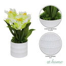 Halsey & Heath Decorative Artificial Plant — Deluxe Pieces